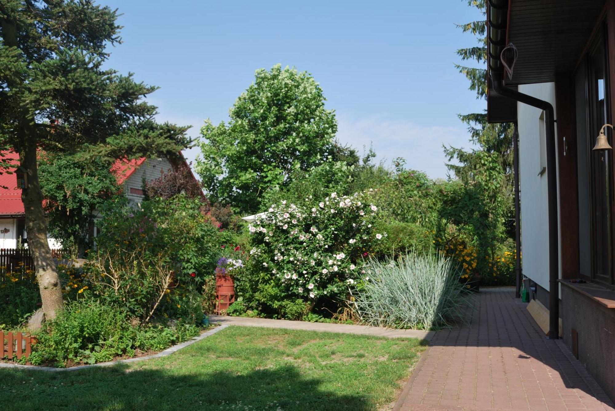 Agroturystyka Pod Czarna Sosna Bialy Lug Exterior photo